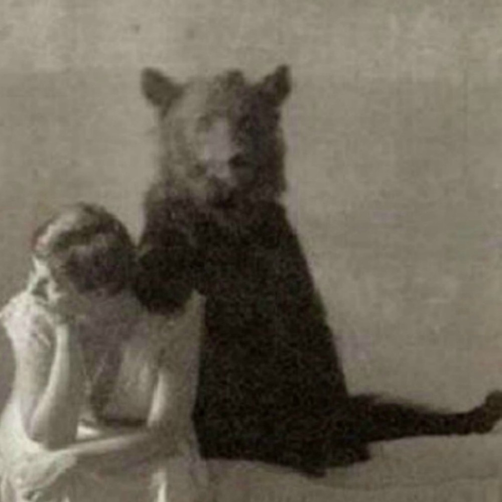 Meet your Posher, Molly